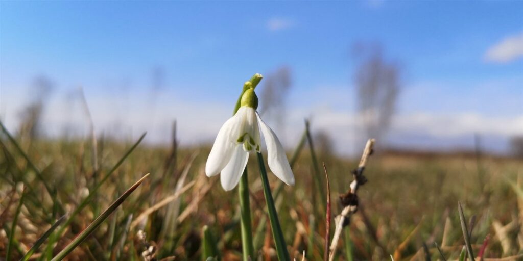 Vremenska prognoza za Zagorje: Stabilno i sunčano, temperature u porastu