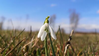 Vremenska prognoza za Zagorje: Stabilno i sunčano, temperature u porastu