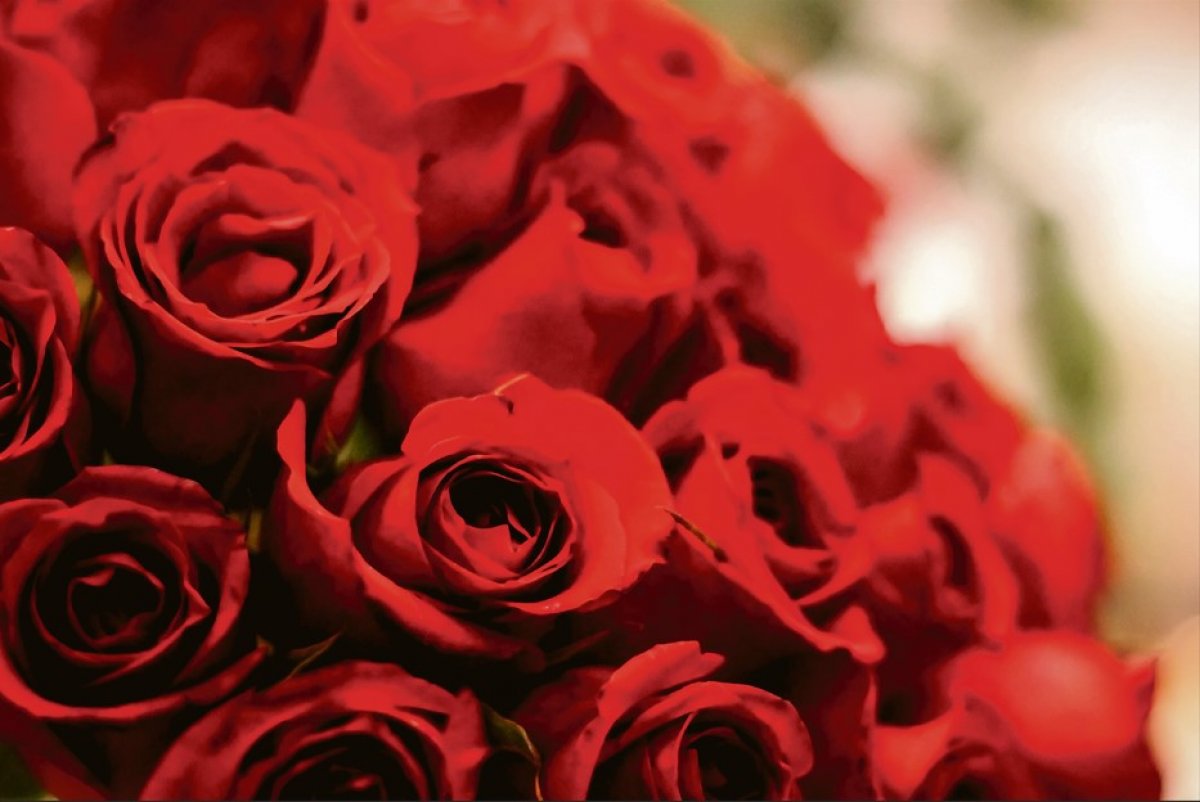 Zagorski doživljaj Dana žena: Gastronomija, kultura i opuštanje